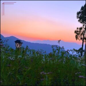 Himkanya homestay